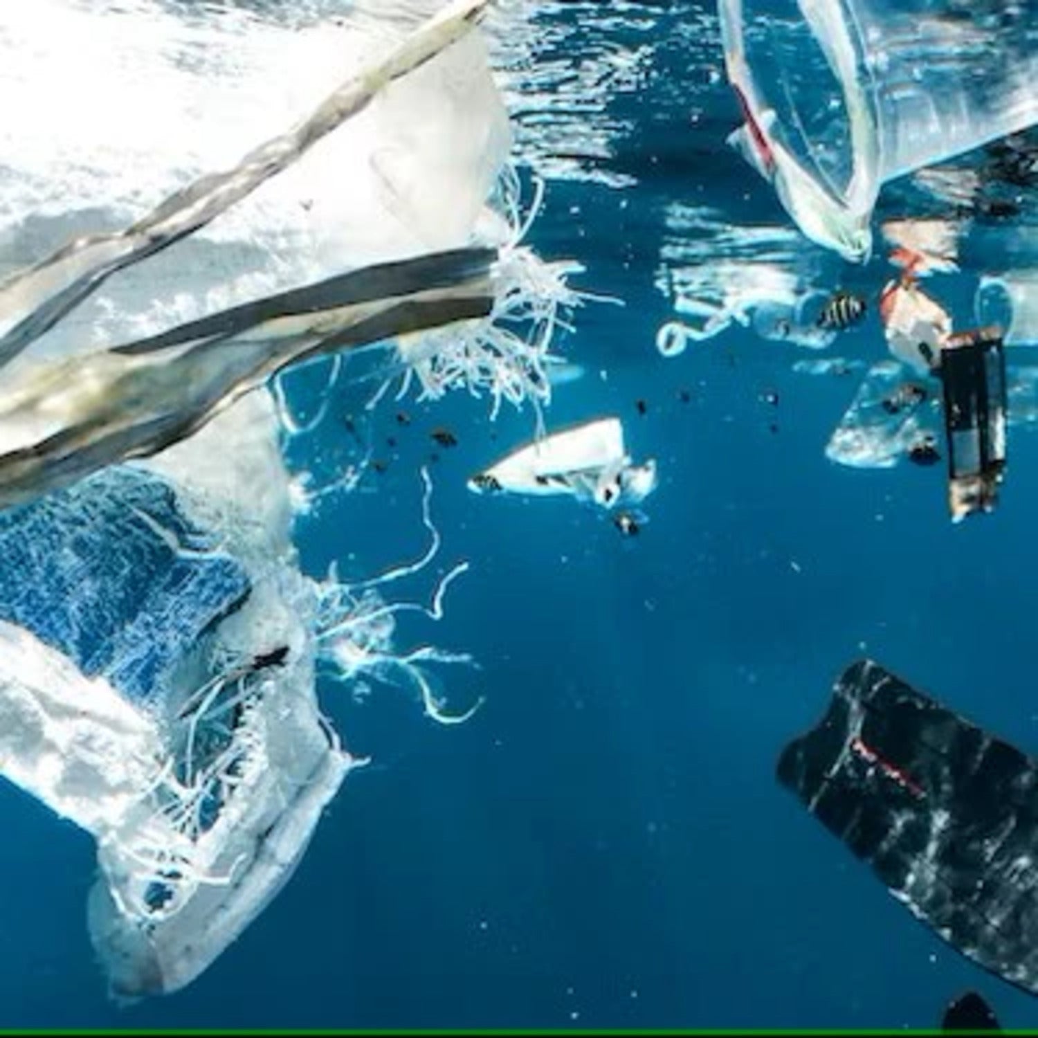 Plastik im Meer