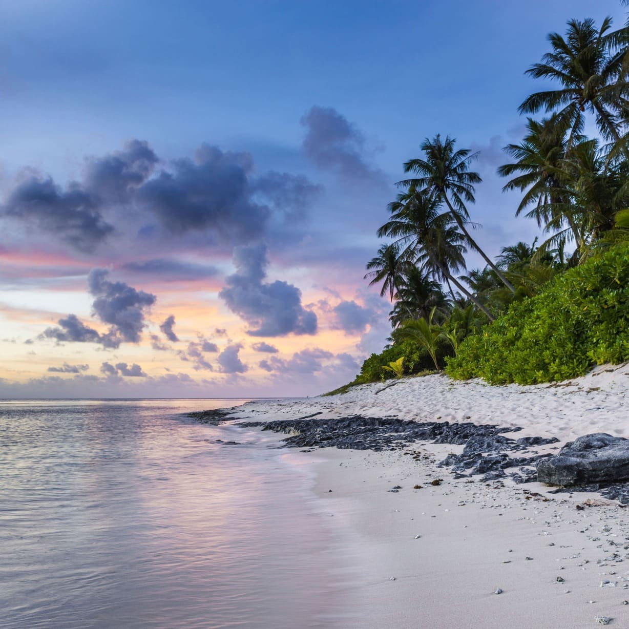 Schönes Bild von einem Strand mit Palmen am Ozean
